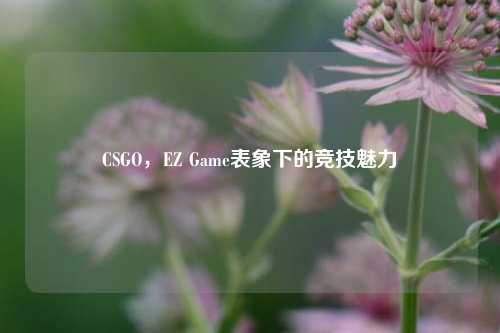 CSGO，EZ Game表象下的竞技魅力