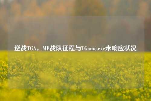 逆战TGA,ME战队征程与TGame.exe未响应状况