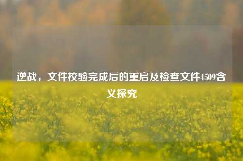 逆战,文件校验完成后的重启及检查文件4509含义探究