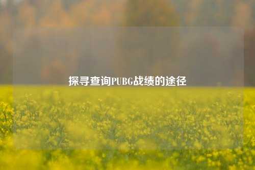 探寻查询PUBG战绩的途径
