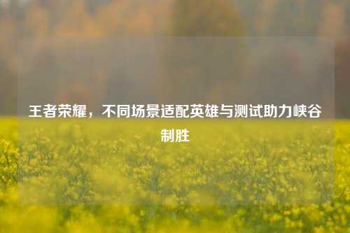 王者荣耀,不同场景适配英雄与测试助力峡谷制胜
