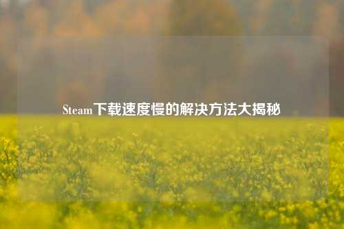 Steam***慢的解决 *** 大揭秘