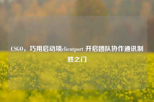 CSGO，巧用启动项clientport 开启团队协作通讯制胜之门