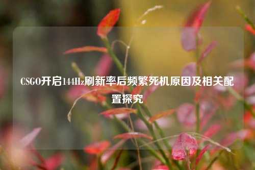 CSGO开启144Hz刷新率后频繁死机原因及相关配置探究