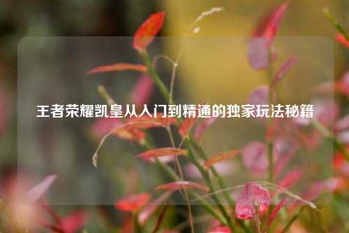 王者荣耀凯皇从入门到精通的独家玩法秘籍