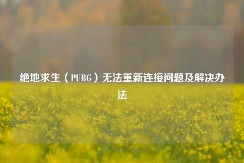 绝地求生（PUBG）无法重新连接问题及解决办法