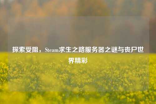 探索受阻,Steam求生之路服务器之谜与丧尸世界精彩