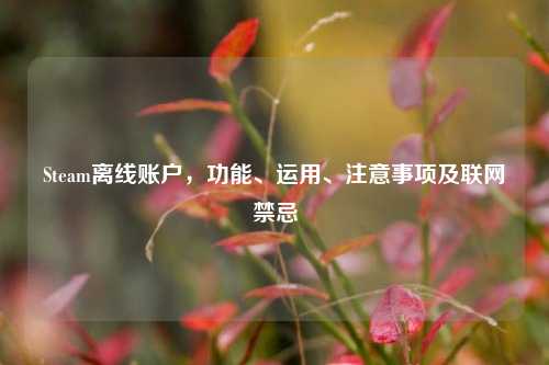 Steam离线账户,功能、运用、注意事项及联网禁忌