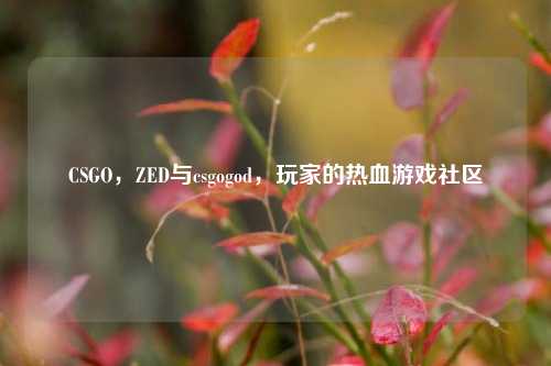 CSGO，ZED与csgogod，玩家的热血游戏社区