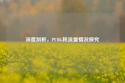 深度剖析,PUBG耗流量情况探究