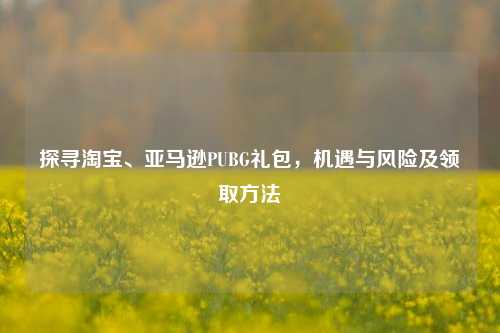 探寻 *** 、亚马逊PUBG礼包，机遇与风险及领取 *** 
