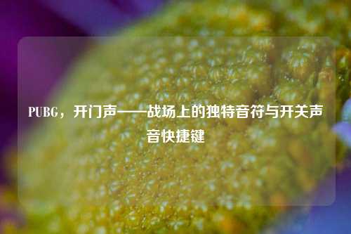 PUBG,开门声——战场上的独特音符与开关声音快捷键