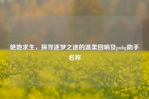 绝地求生,探寻逐梦之途的温柔回响及pubg助手名称