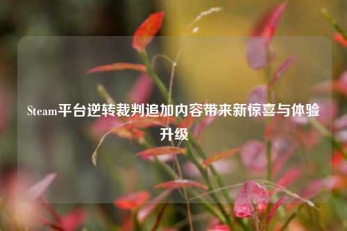 Steam平台逆转裁判追加内容带来新惊喜与体验升级