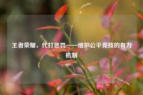 王者荣耀,代打惩罚——维护公平竞技的有力机制