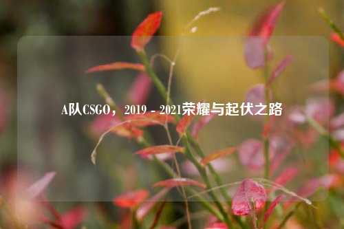 A队CSGO，2019 - 2021荣耀与起伏之路