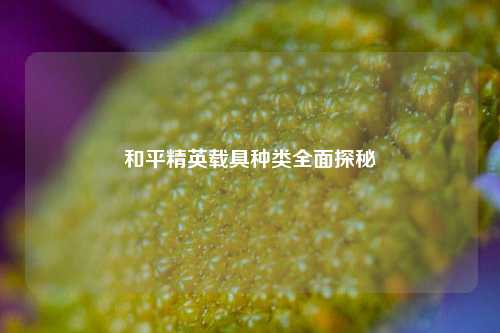 和平精英载具种类全面探秘