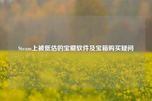 Steam上被低估的宝藏软件及宝箱购买疑问