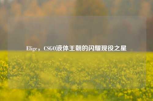 Elige，CSGO液体王朝的闪耀现役之星