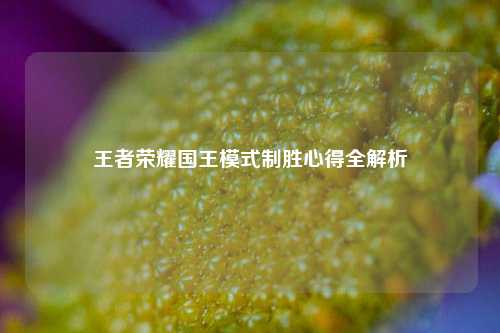 王者荣耀国王模式制胜心得全解析