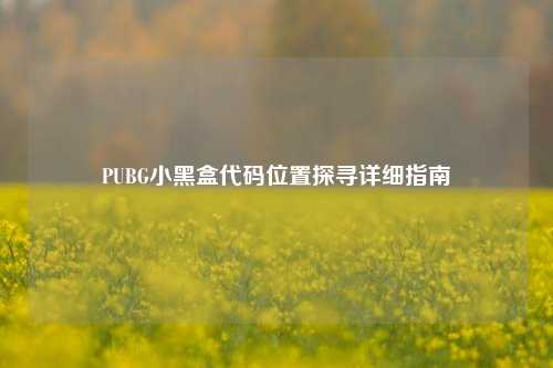 PUBG小黑盒代码位置探寻详细指南