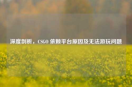 深度剖析,CSGO 依赖平台原因及无法游玩问题