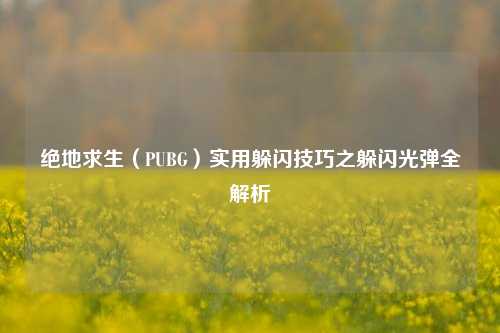 绝地求生(PUBG)实用躲闪技巧之躲闪光弹全解析