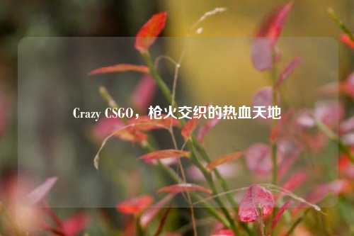 Crazy CSGO，枪火交织的热血天地