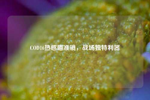 COD16热感瞄准镜，战场独特利器