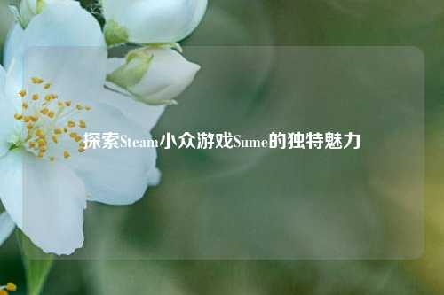 探索Steam小众游戏Sume的独特魅力