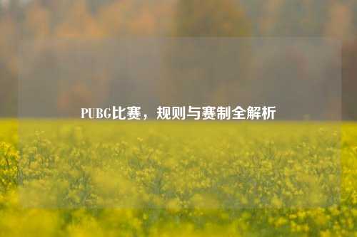 PUBG比赛，规则与赛制全解析
