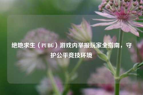绝地求生（PUBG）游戏内举报玩家全指南，守护公平竞技环境