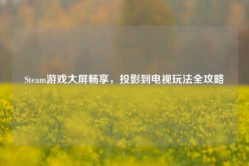 Steam游戏大屏畅享，投影到电视玩法全攻略
