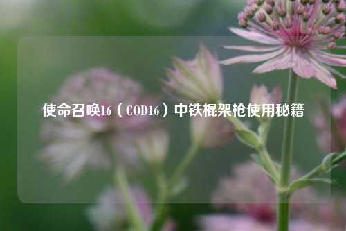 使命召唤16（COD16）中铁棍架枪使用秘籍