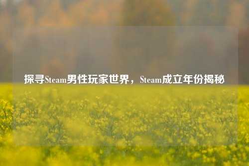 探寻Steam男性玩家世界，Steam成立年份揭秘