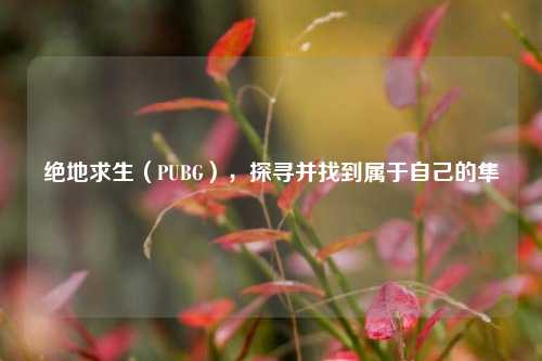 绝地求生（PUBG），探寻并找到属于自己的隼