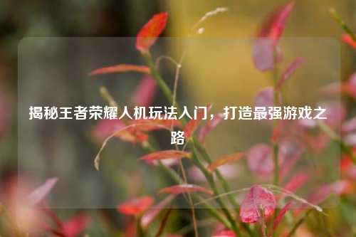 揭秘王者荣耀人机玩法入门，打造最强游戏之路