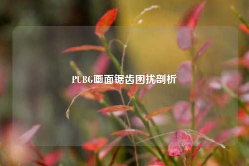 PUBG画面锯齿困扰剖析