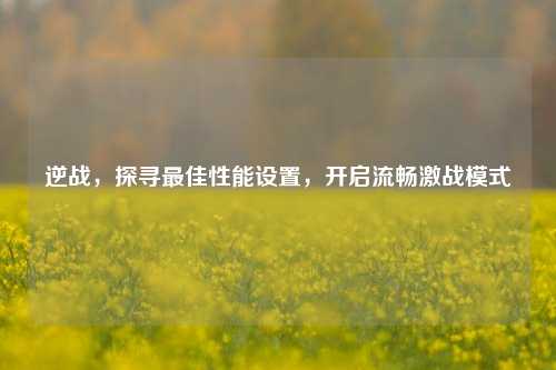 逆战，探寻更佳性能设置，开启流畅激战模式