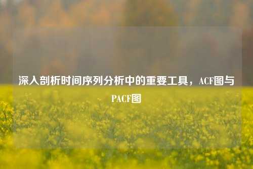 深入剖析时间序列分析中的重要工具，ACF图与PACF图