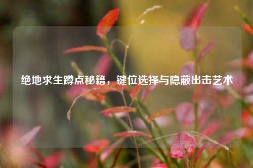 绝地求生蹲点秘籍，键位选择与隐蔽出击艺术