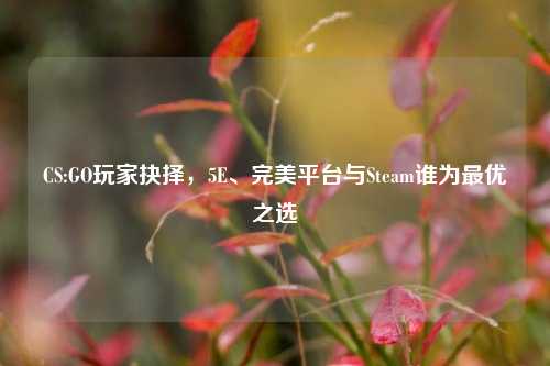 CS:GO玩家抉择，5E、完美平台与Steam谁为更优之选