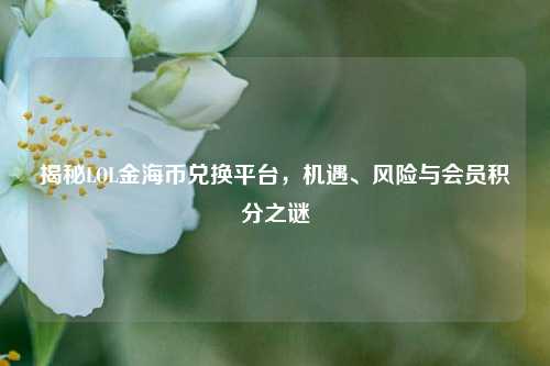 揭秘LOL金海币兑换平台，机遇、风险与会员积分之谜