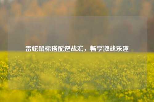 雷蛇鼠标搭配逆战宏，畅享激战乐趣