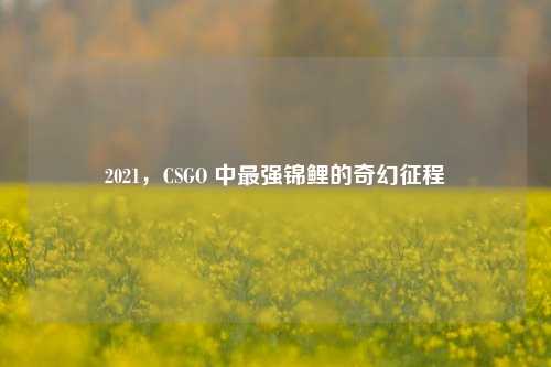 2021，CSGO 中最强锦鲤的奇幻征程