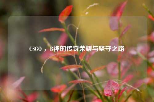 CSGO ，B神的传奇荣耀与坚守之路