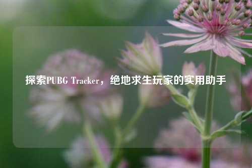 探索PUBG Tracker，绝地求生玩家的实用助手