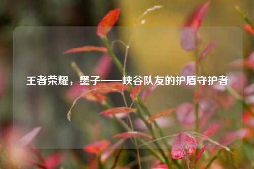 王者荣耀，墨子——峡谷队友的护盾守护者