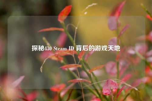 探秘430 Steam ID 背后的游戏天地