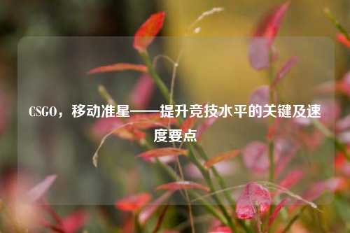 CSGO，移动准星——提升竞技水平的关键及速度要点